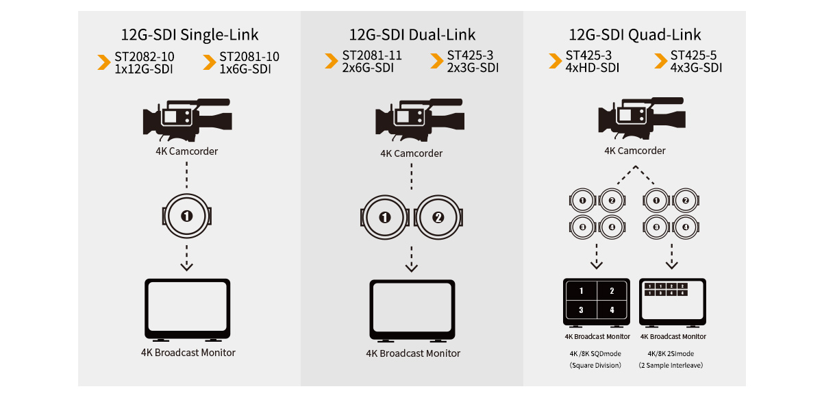 multi type format monitor