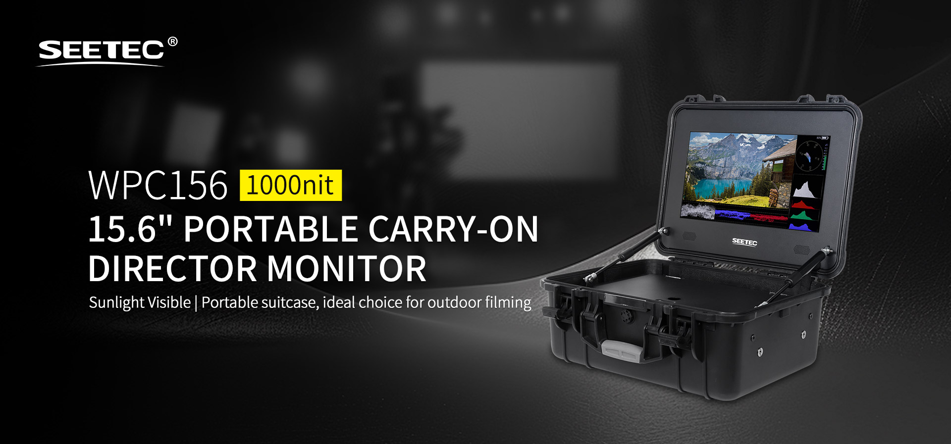 portable director monitor